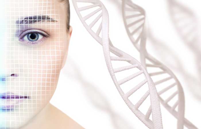 女性の肌とサーチュイン遺伝子