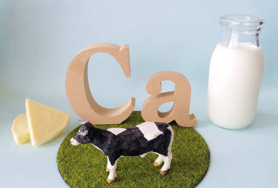 カルシウムをイメージした牛・牛乳・チーズ